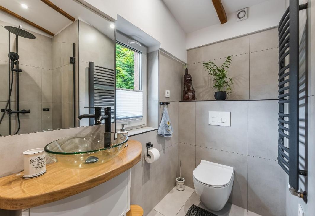 Apartament Pod Bukowym Lasem Meszna المظهر الخارجي الصورة