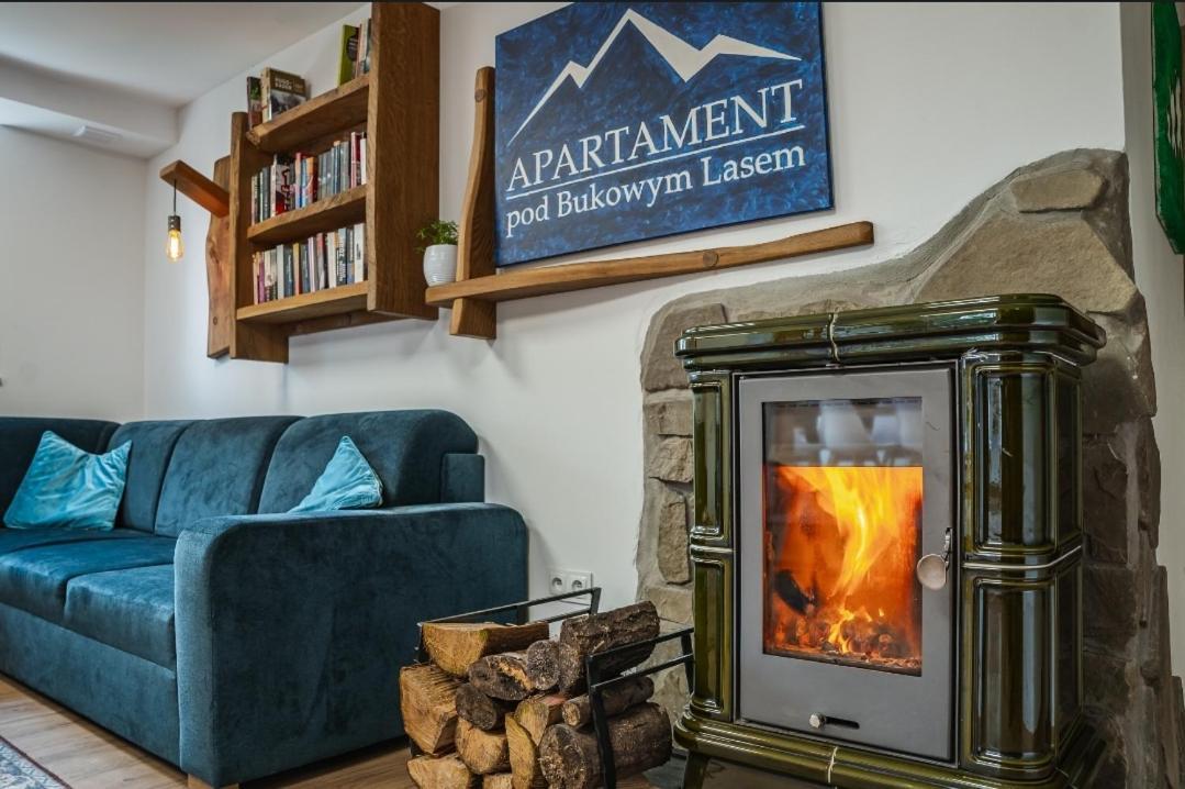 Apartament Pod Bukowym Lasem Meszna المظهر الخارجي الصورة